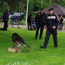 bewonersdag 2015